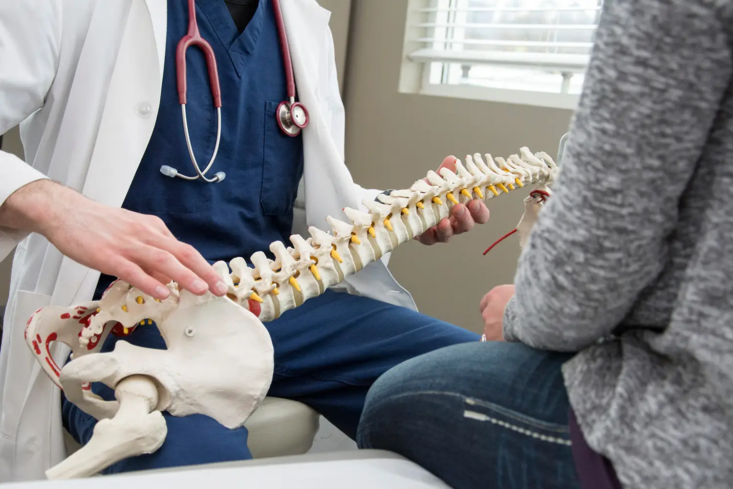 A medical professional showing a model of a spine to a patient