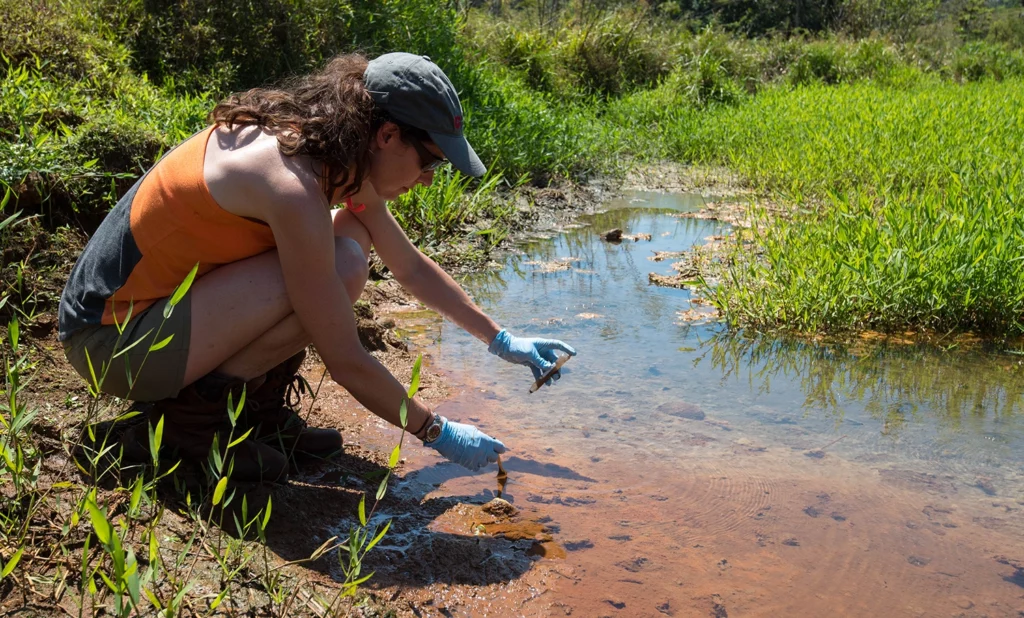 A researcher gathering a sample from a creek