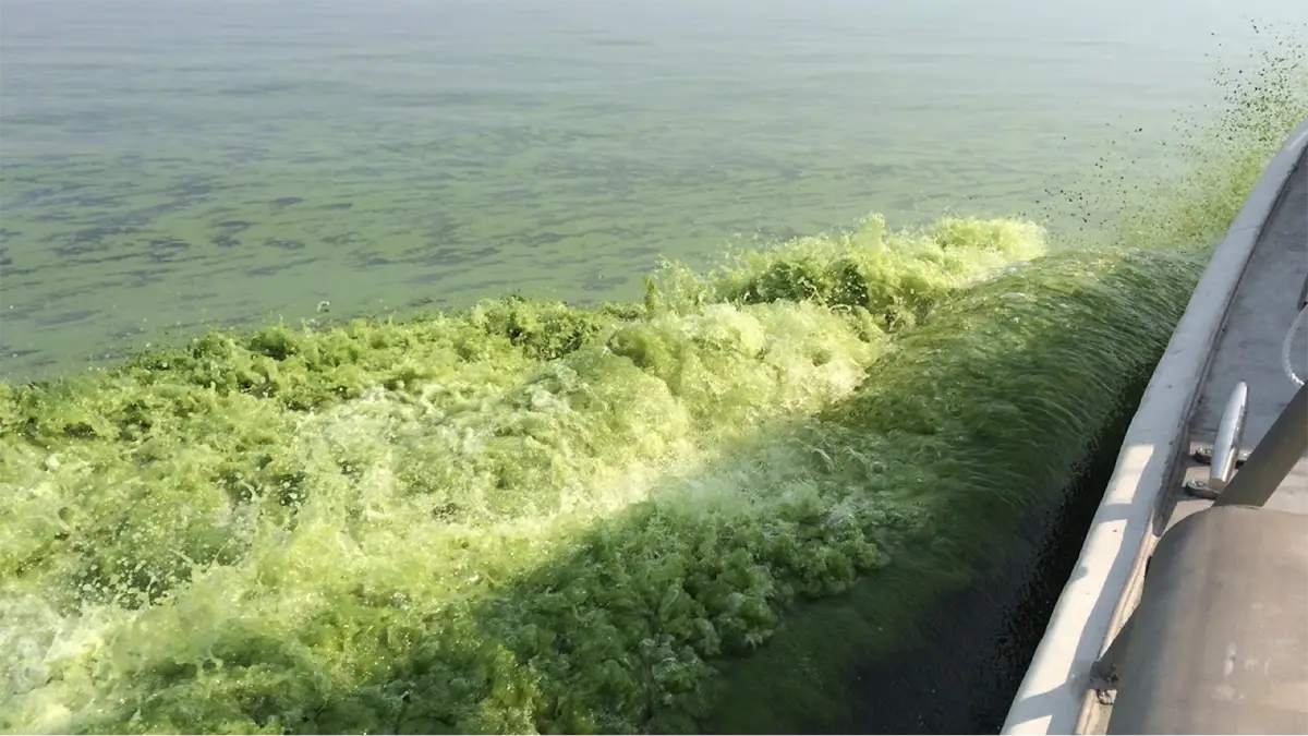 Photo from Great Lakes research with green water coming off of a boat