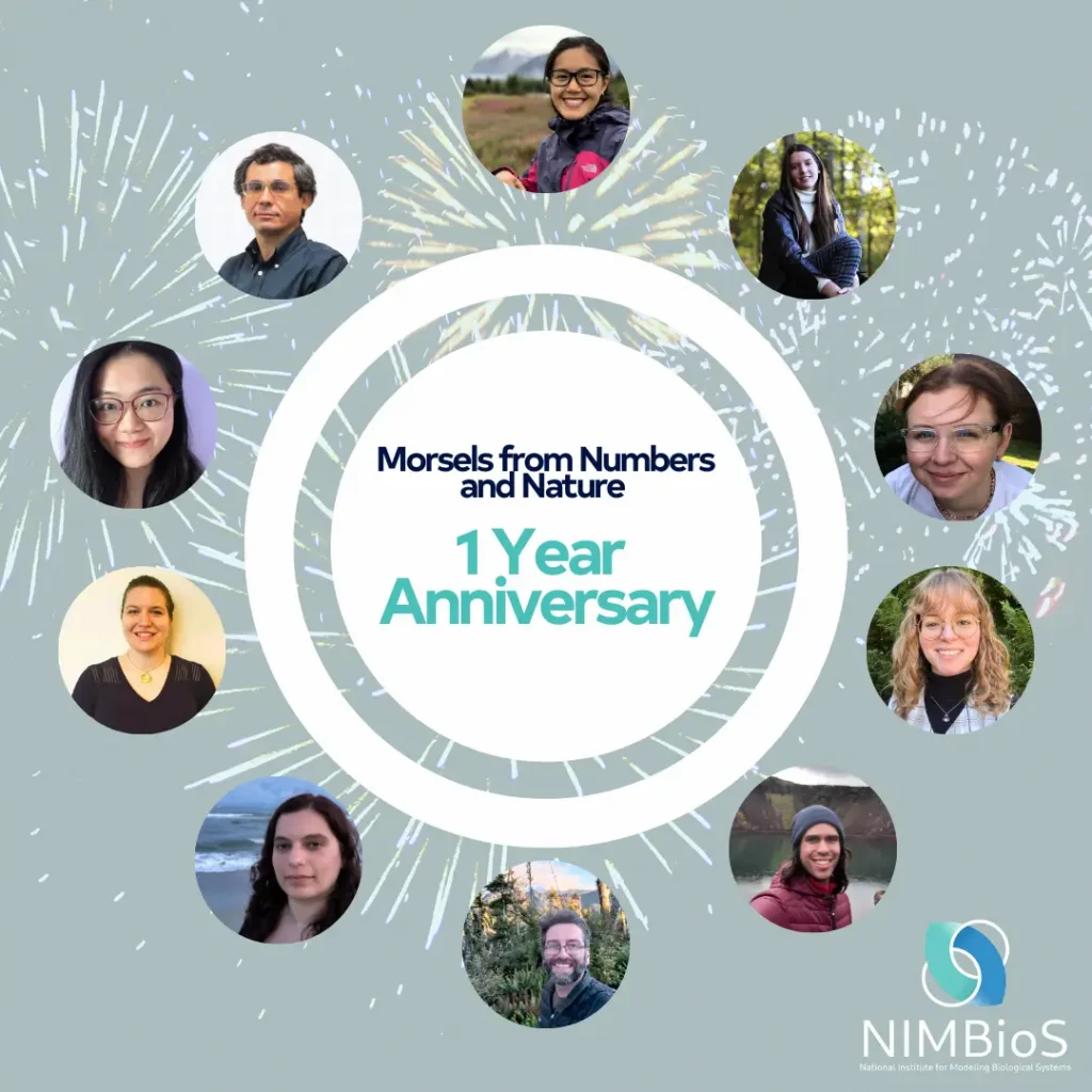 Morsels from Numbers and Nature: 1 Year Anniversary (graphic)