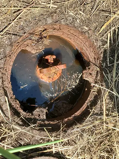 Students working with a water source at a dairy farm