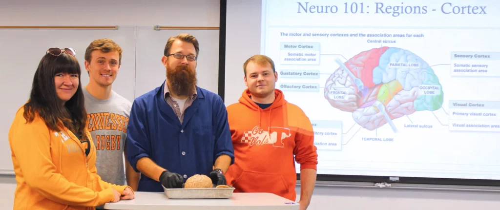 A group of students making a presentation