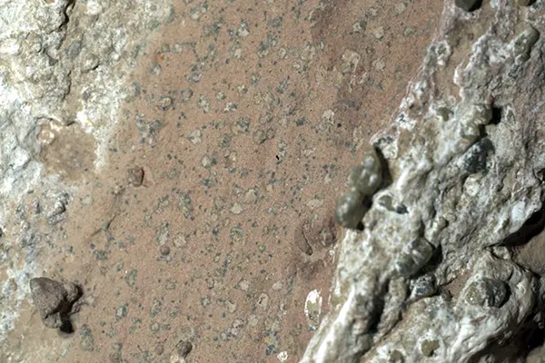 A Mars rock called Cheyava Falls which shows "leapoard spots" that are a potential sign of life on Mars