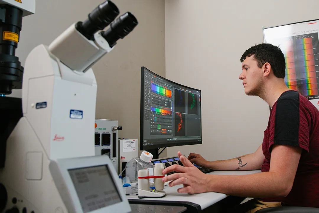 A BCMB student analyzes results on the computer.