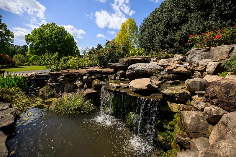Water falls from a mini waterfall into a pond.