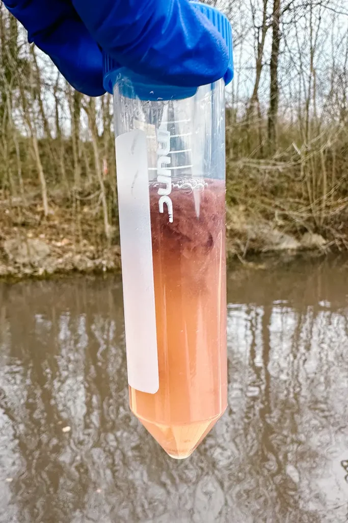 A research holds Pink algal surface scum inside of a test tube. 