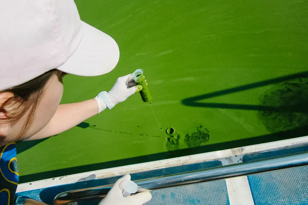A researcher collects a sample from a lake while sitting in a boat.