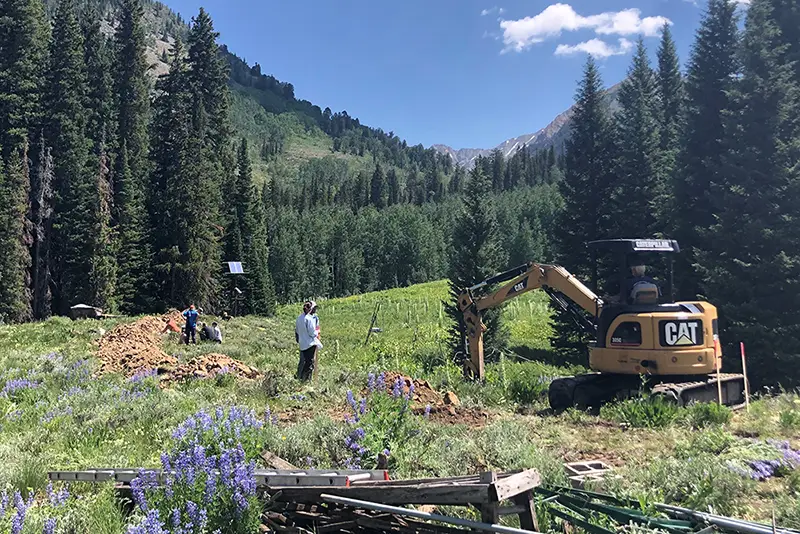 UT Researchers dig at the Rocky Mountain Biological Laboratory in Colorado, surrounded by trees, plants, and shrubbery.