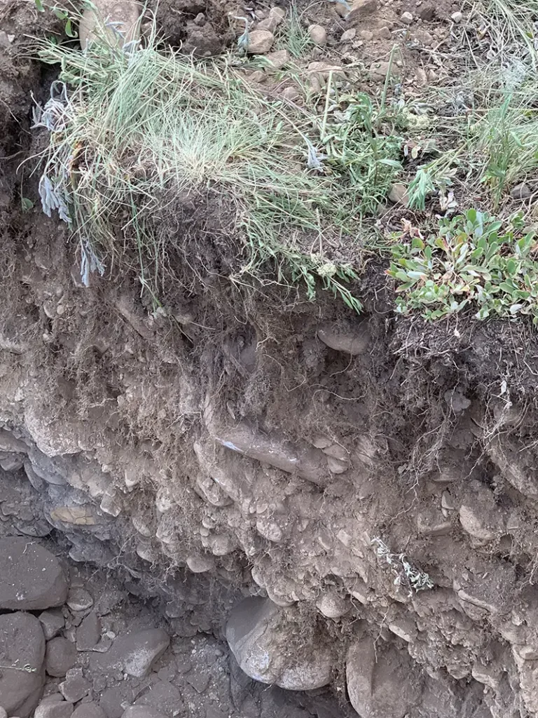 Soil and desert shrubland at the Rocky Mountain Biological Laboratory in Colorado.