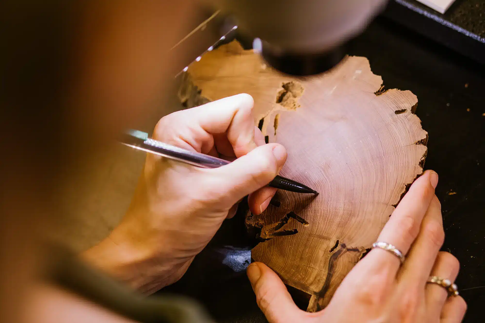 A researcher making marks on tree rings