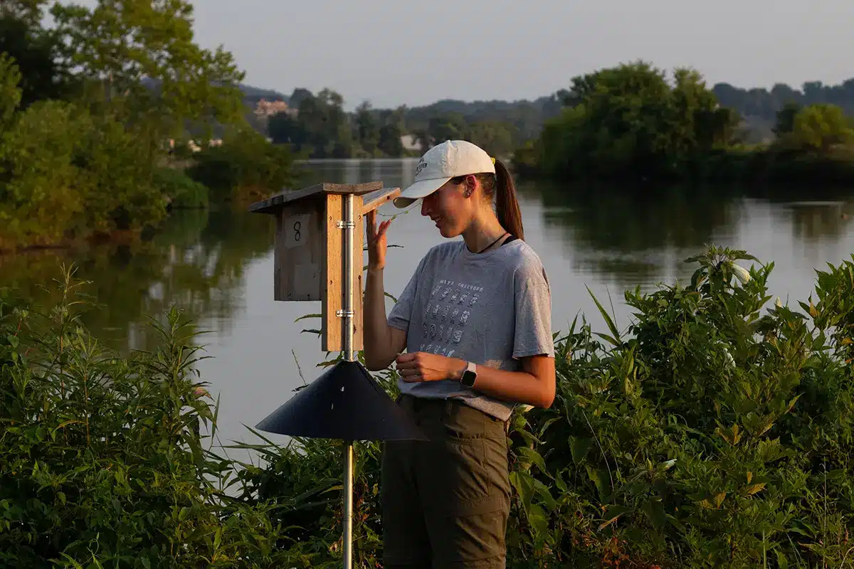 A student looks inside a bird house beside a lake. 